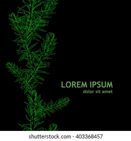 Seamless background grass. Vector