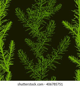 Seamless background grass. Vector