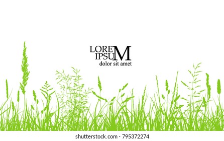 seamless background of grass. Vector