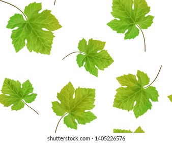 Seamless background with green grape leaves. Vector illustration.
