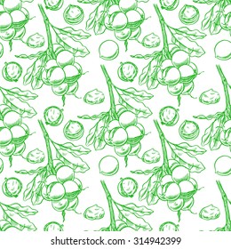 seamless background of green macadamia branches with fruits. hand-drawn illustration