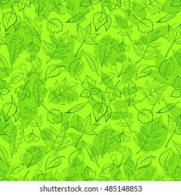Seamless Background, Green Summer Leaves Contours and Silhouettes Oak, Iberian Oak, Raspberry, Willow, Liquidambar, Hawthorn, Aspen, Ginkgo Biloba, Elm Karagach, Birch, Ash, Chestnut, Sambucus. Vector