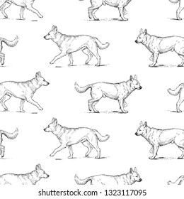 Seamless background of guard dogs sketches