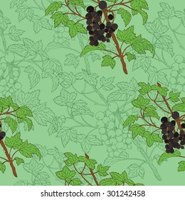 Seamless background with hand drawn berries of black currant on green 