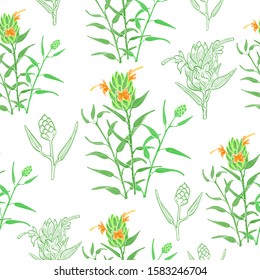 Seamless Background with Hand Drawn Ginger Plant Bush Parts with Contour and without it. Colored Isolated Zingiber Officinale. Seamless Pattern for Print on Fabrics, Paper, Web Usage etc.