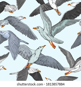 Seamless background with hand drawn seagulls against blue sky, vector illustration