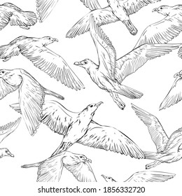 Seamless background with hand drawn seagulls, vector illustration, black and white