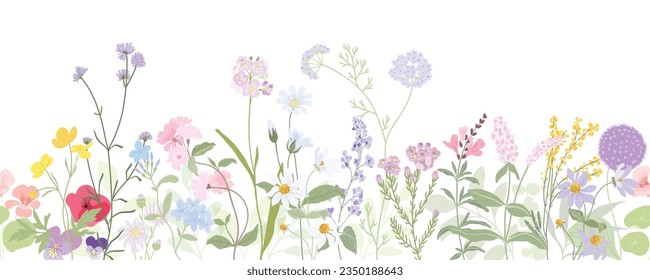 Seamless background Hand drawn wild floral arrangements with small flower. Botanical illustration minimal style.