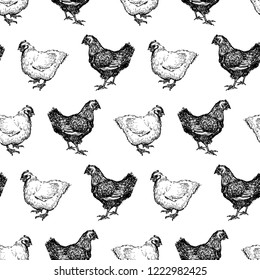 Seamless background of hens sketches