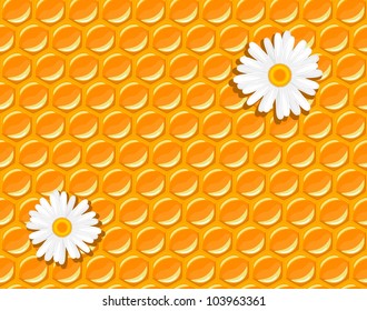 seamless background - honeycomb and flowers of chamomile - vector illustration