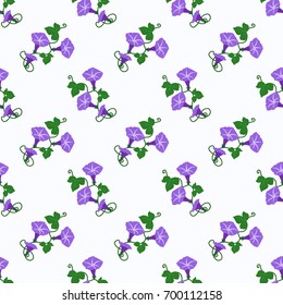 Seamless background image colorful botanic flower leaf plant purple morning glory flower