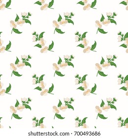 Seamless background image colorful botanic flower leaf plant jasmine