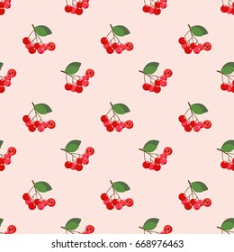 Seamless background image colorful tropical fruit red chokeberry aronia berry