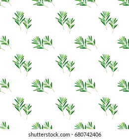 Seamless background image colorful vegetable food ingredient rosemary