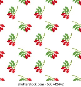 Seamless background image colorful vegetable food ingredient rose hips