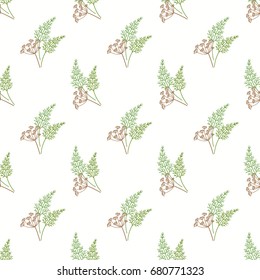 Seamless background image colorful vegetable food ingredient dill flower fennel spice