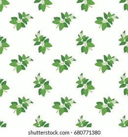 Seamless background image colorful vegetable food ingredient green basil