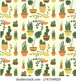 fondo transparente con plantas interiores en macetas