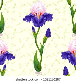 Seamless background of iris flowers with dragonflies on background