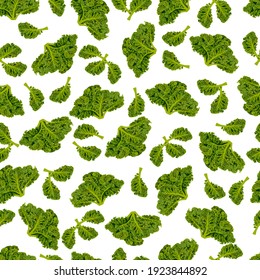 Seamless background of kale. Cabbage. Fresh organic and healthy, diet and vegetarian food. Vector illustration
