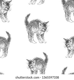Seamless background of kitten sketches