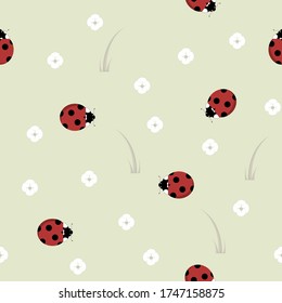 Seamless background with ladybug. A simple pattern. Ladybird on a green background with white flowers and grass. Vector illustration.
