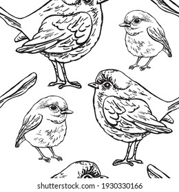 El fondo es impecable, con un pájaro grande y pequeño. Dibujo de contorno. Patrón vectorial.