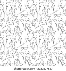 Seamless background with leaves, flowers. Line drawing. Lines have different widths. Calla lilies. vector graphics, 1000x1000.