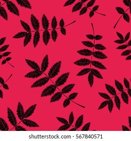 Seamless background from the leaves of mountain ash. Pattern.