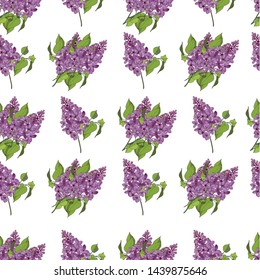Seamless background of lilac flowers with leaves. The floral pattern is light. For fabric, Wallpaper and decor design. Set of lilac. On white background. Everything is edited.