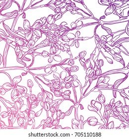 Seamless background. Lilac flowers. Thin graphics. On a white background. The gradient is pink and purple. Vector. Live drawing by outline.