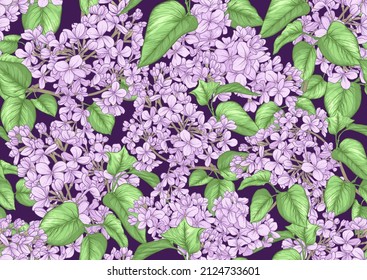 Seamless background with lilac flowers. Vector illustration. Isolated on white background.