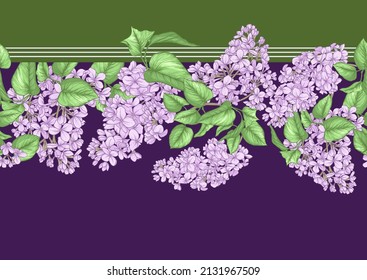 Seamless background with lilac flowers. Vector illustration. Isolated on white background.