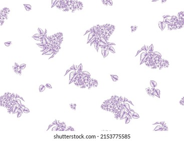 Nahtloser Hintergrund mit lila Blumen. Vektorgrafik. Einzeln auf weißem Hintergrund.