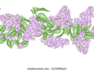 Seamless background with lilac flowers. Vector illustration. Isolated on white background.
