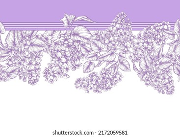 Seamless background with lilac flowers. Vector illustration. Isolated on white background.
