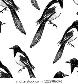 Seamless background of magpie sketches