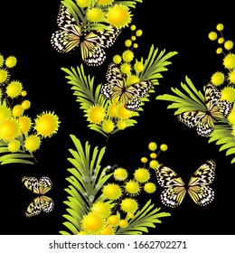 Un fondo fluido de mimosa con mariposas. Ilustración del vector