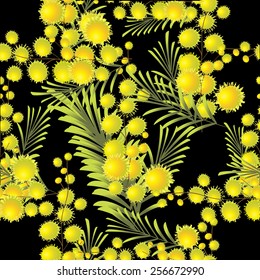 Seamless background mimosa. Vector