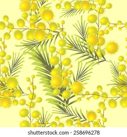 Seamless background mimosa. Vector
