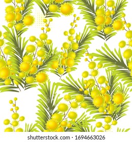 A seamless background of mimosa. Vector illustration