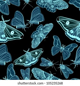Seamless background with moth, black and blue, for design, vector illustration