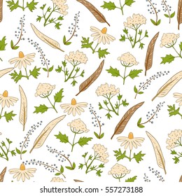 Seamless background with natural elements - plants, flowers, berries and feathers on a white background. Vector botanical pattern in retro style.