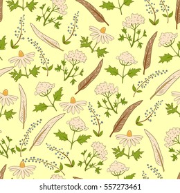 Seamless background with natural elements - plants, flowers, berries and feathers on a light yellow background. Vector botanical pattern in retro style.