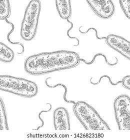 Seamless background of outlines of protozoan cells
