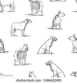 Seamless background of outlines various guard dogs