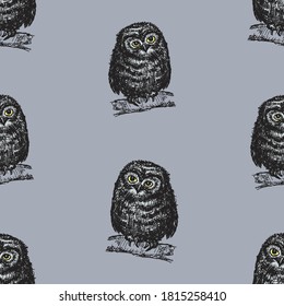 Seamless background of an owlets sitting on tree branches