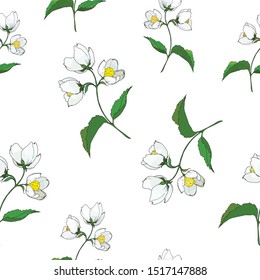 seamless background of painted twigs and Jasmine flowers, vector isolated images, doodles