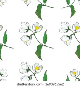 seamless background of painted twigs and Jasmine flowers, vector isolated images, doodles	
