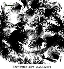 Hojas de palma de fondo sin mar. ilustración vectorial